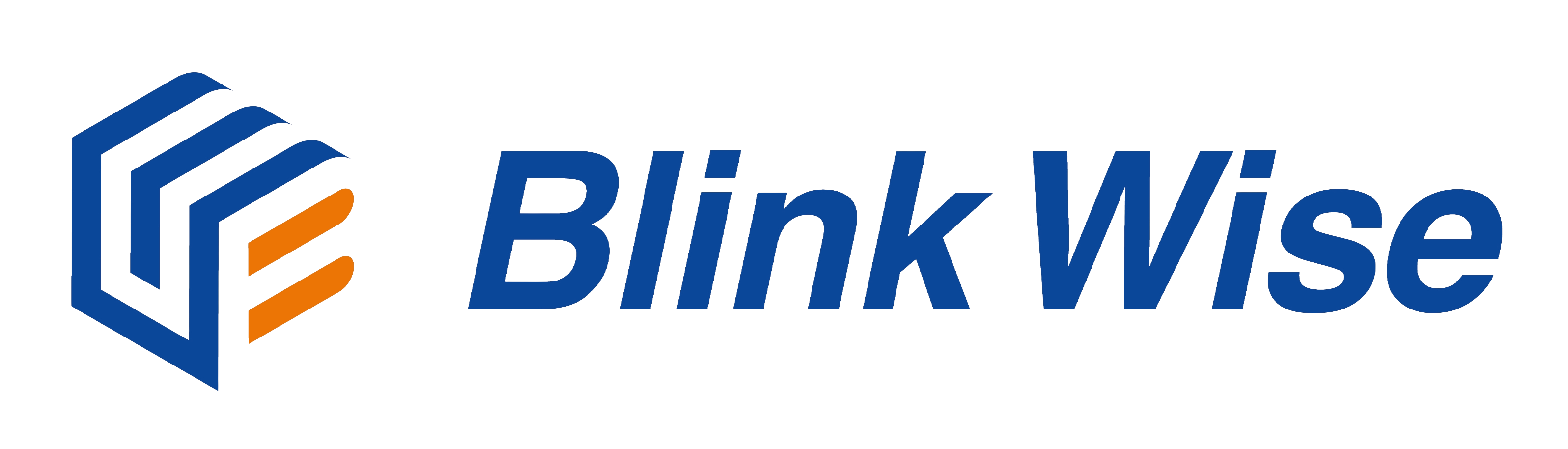 Blink Wise